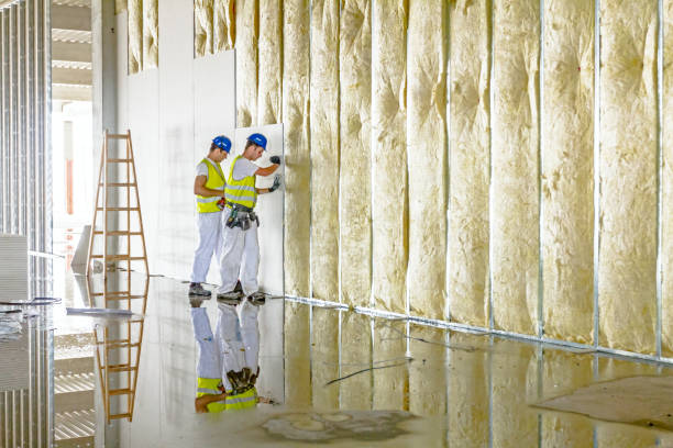 Best Insulation Contractor Near Me  in Warrior, AL